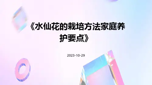 水仙花的栽培方法家庭养护要点