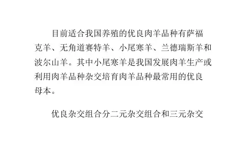 肉羊优良品种及杂交组合