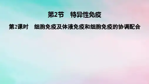 高中生物第4章免疫调节第2节特异性免疫第2课时细胞免疫及体液免疫和细胞免疫的协调配合新人教版选择性必