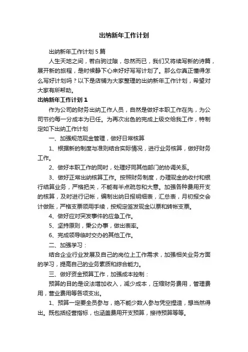 出纳新年工作计划