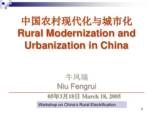中国农村现代化与城市化.ppt