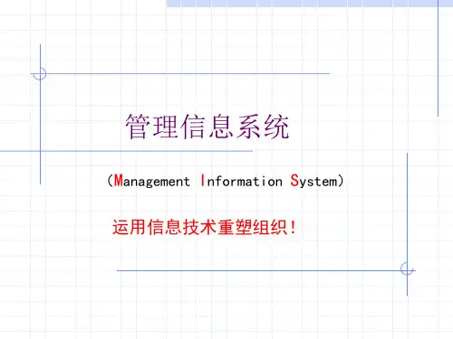 第11章  信息系统的建设模式