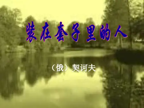 《装在套子里的人》优秀课件