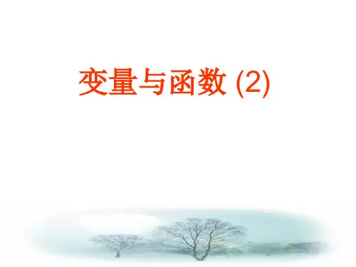 变量与函数 (2)