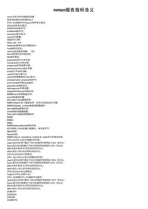 nmon报告指标含义