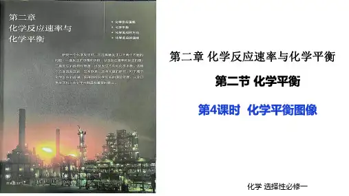 化学平衡图像分析 课件-高二化学人教版(2019)选择性必修1