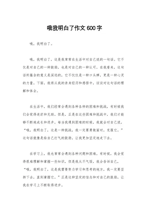 哦我明白了作文600字