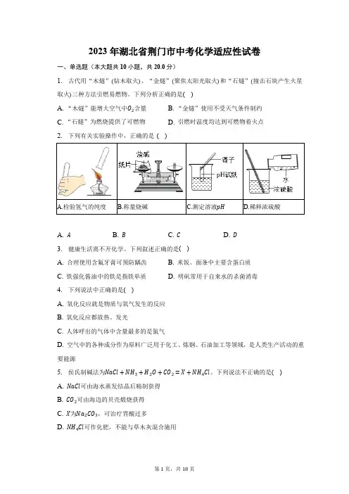 2023年湖北省荆门市中考化学适应性试卷(含解析)