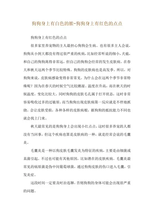 狗狗身上有白色的脓-狗狗身上有红色的点点