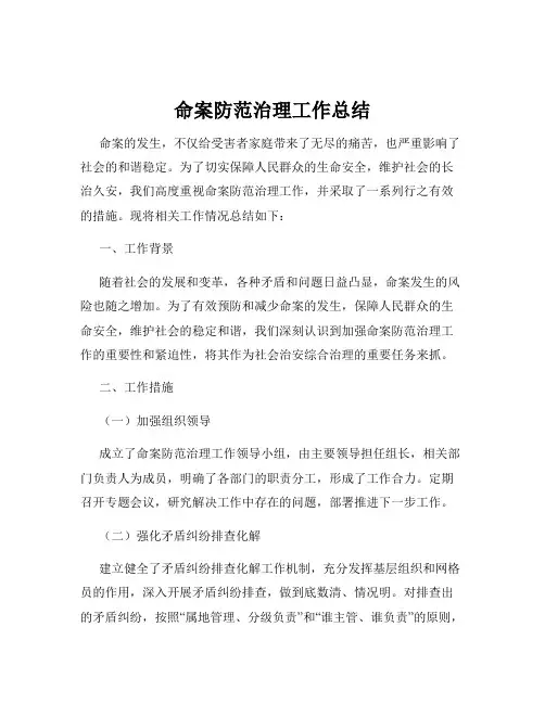 命案防范治理工作总结