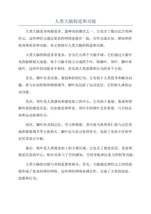 人类大脑构造和功能