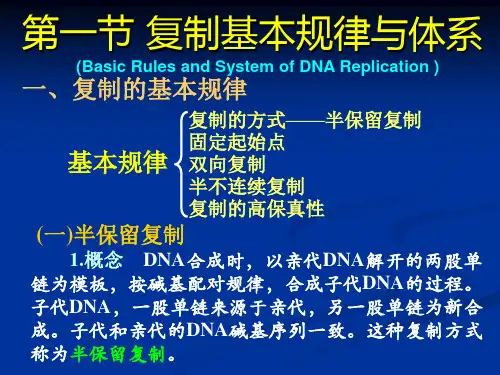生物化学ppt课件11.第十一章DNA的生物合成复制