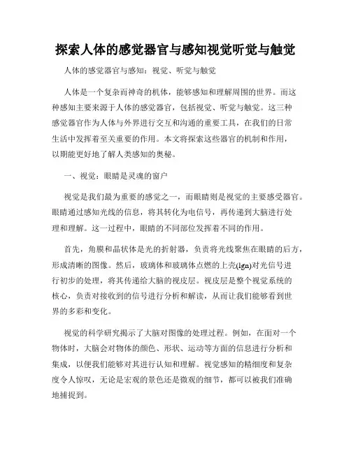 探索人体的感觉器官与感知视觉听觉与触觉