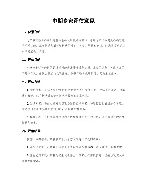 中期专家评估意见