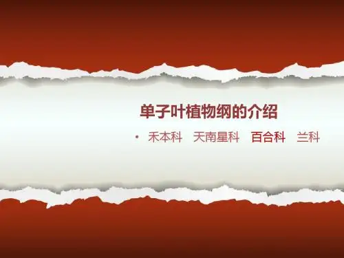 中药类药用植物课件讲义