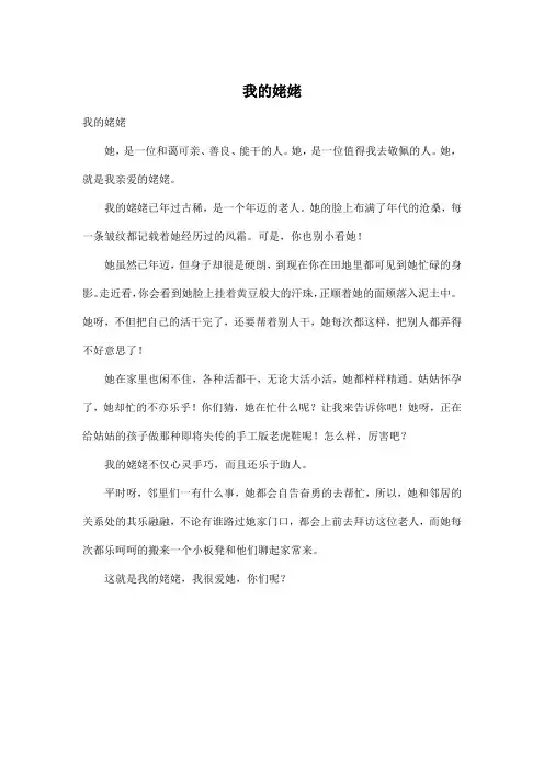 我的姥姥_小学五年级作文400字