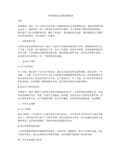 乡村寒假社会实践调研报告