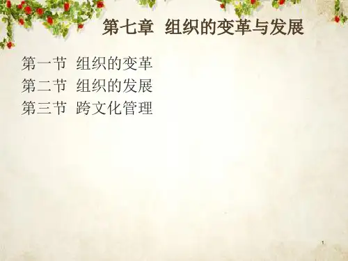 企业组织的变革与发展(PPT 71页)