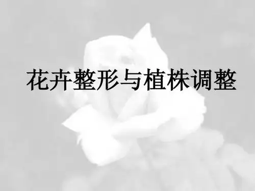 花卉整形修剪、促成抑制栽培
