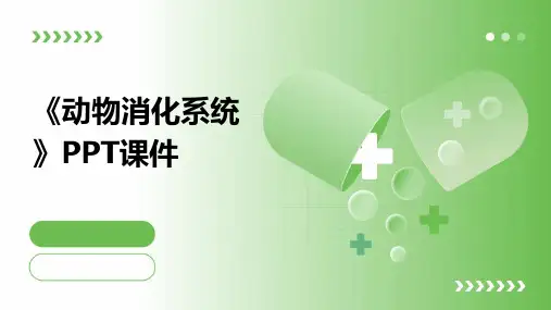 《动物消化系统》课件