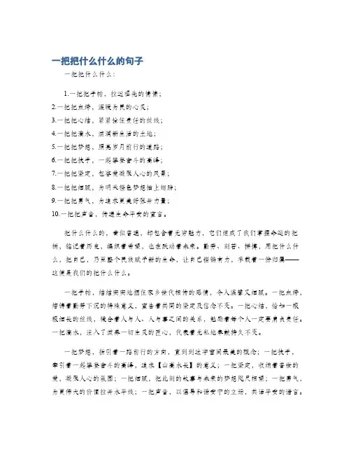 一把把什么什么的句子