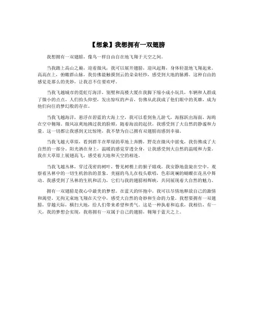 【想象】我想拥有一双翅膀