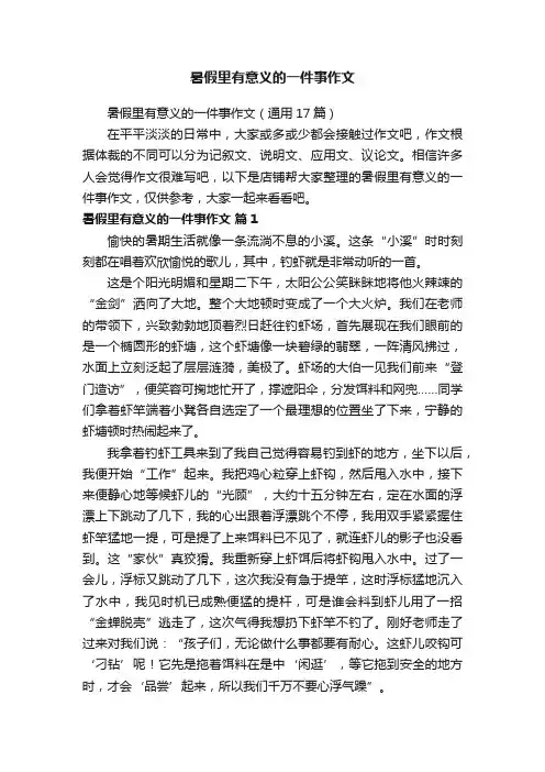 暑假里有意义的一件事作文