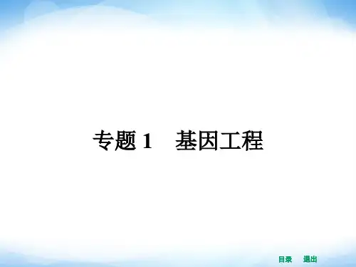 人教版高中生物选修三1.1《dna重组技术的基本工具》ppt配套课件