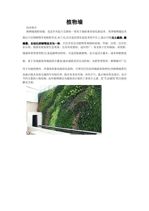 植物墙