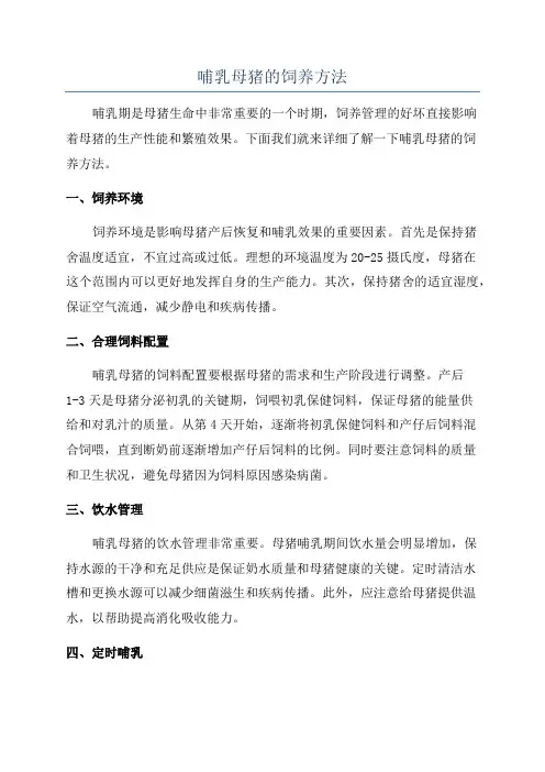 哺乳母猪的饲养方法