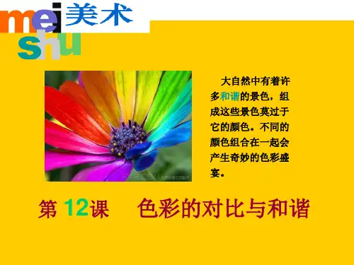 《色彩的对比与和谐》PPT优秀课件2