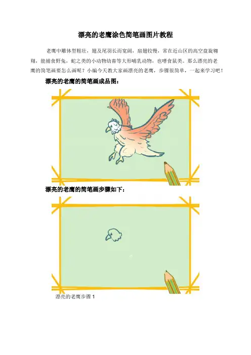 漂亮的老鹰涂色简笔画图片教程