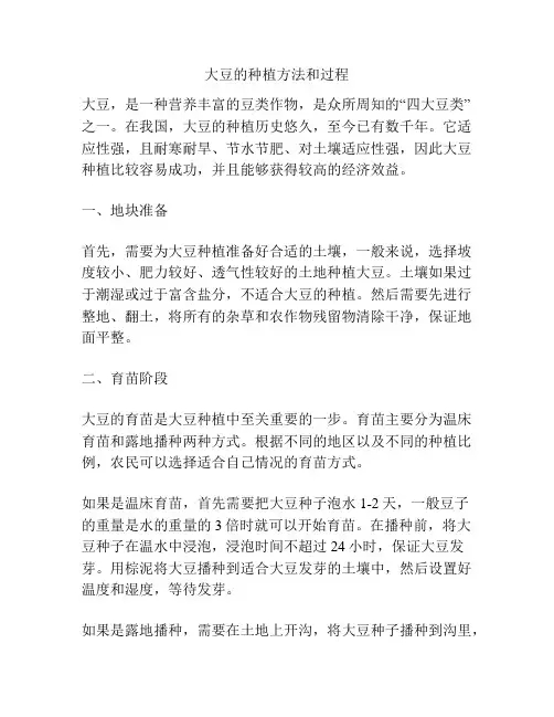 大豆的种植方法和过程