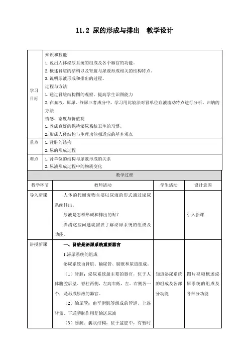 北师大版生物七年级下册尿的形成与排出 教案
