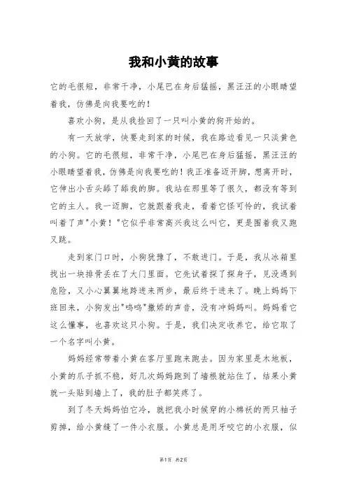 我和小黄的故事_五年级作文