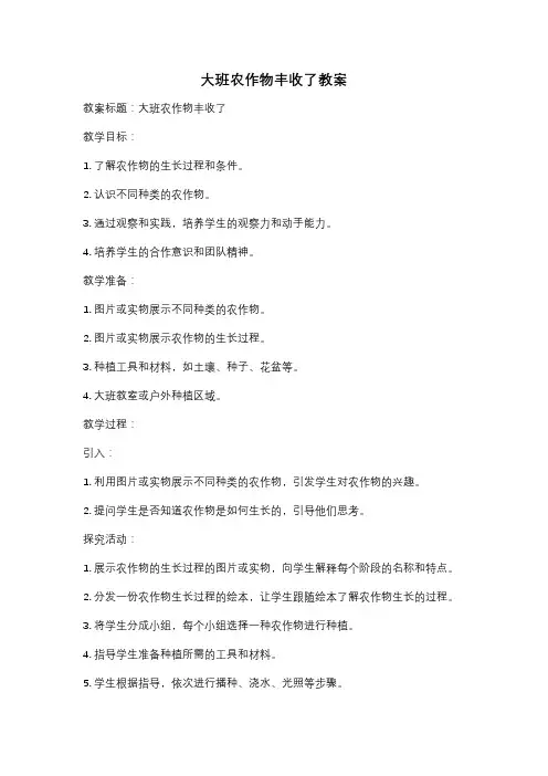 大班农作物丰收了教案