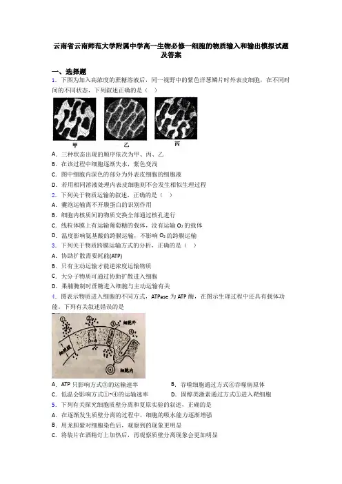 云南省云南师范大学附属中学高一生物必修一细胞的物质输入和输出模拟试题及答案