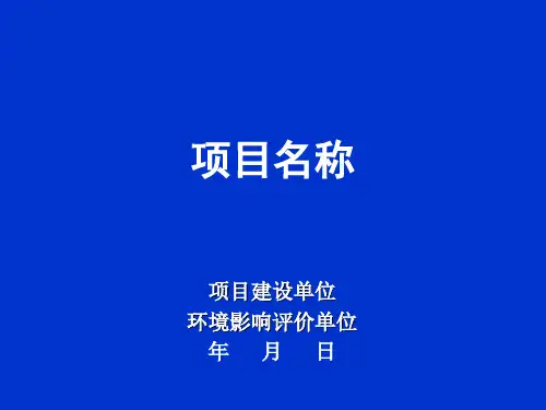 环评评审会汇报模板课件