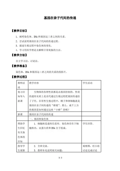 基因在亲子代间的传递  生物优秀教案