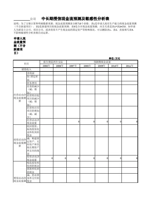 中长期授信现金流预测及敏感性分析表(新)