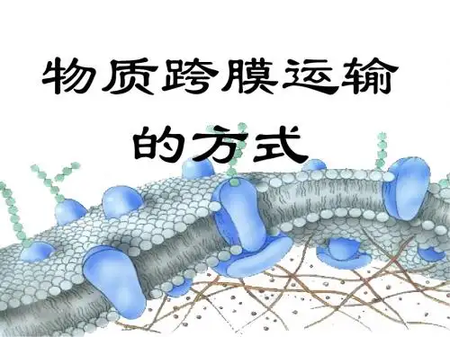 第四章第三节物质跨膜运输的方式