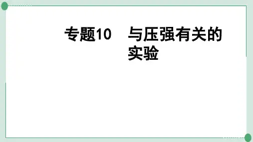 中考九年级化学复习专题10  与压强有关的实验  碱变质的探究