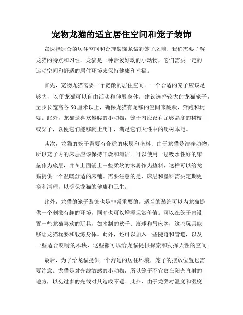 宠物龙猫的适宜居住空间和笼子装饰