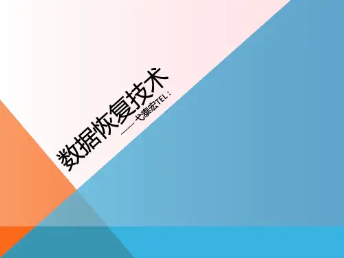 数据恢复技术