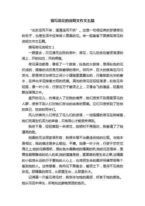 描写荷花的说明文作文五篇