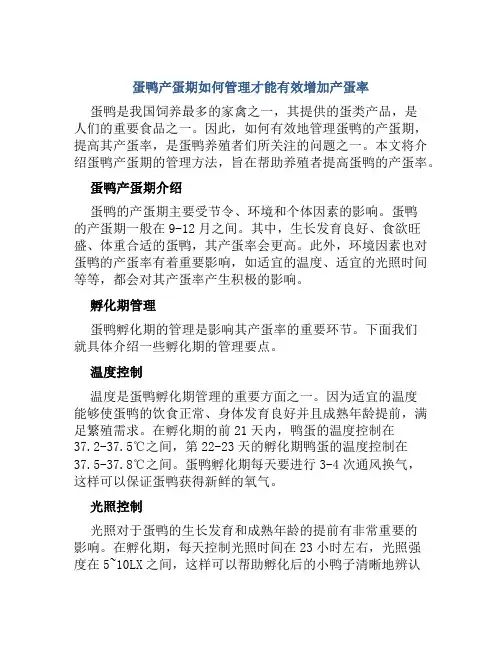 蛋鸭产蛋期如何管理才能有效增加产蛋率