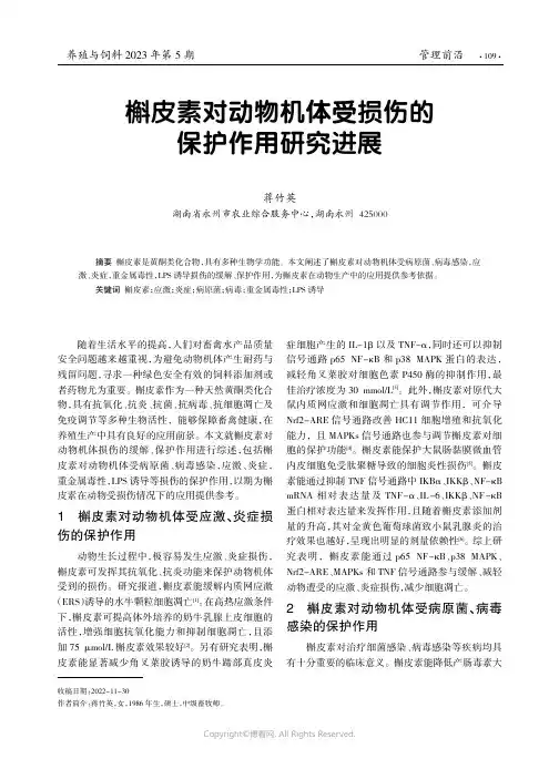 槲皮素对动物机体受损伤的保护作用研究进展