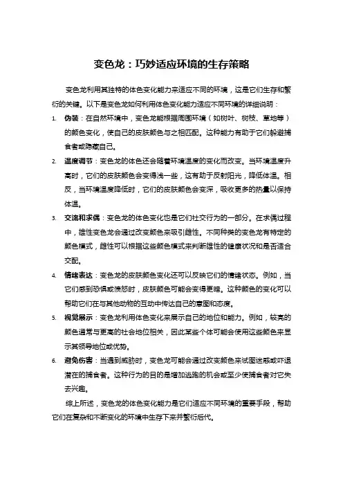 变色龙：巧妙适应环境的生存策略