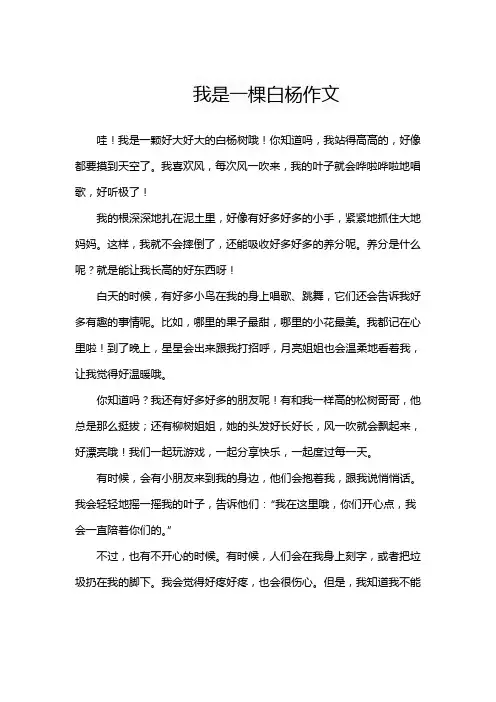 我是一棵白杨作文