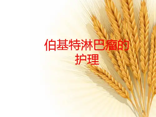 伯基特淋巴瘤PPT课件